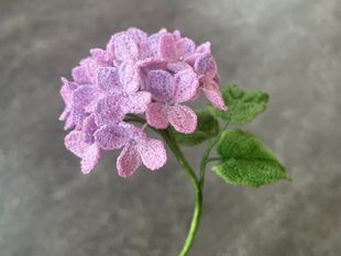 绣球