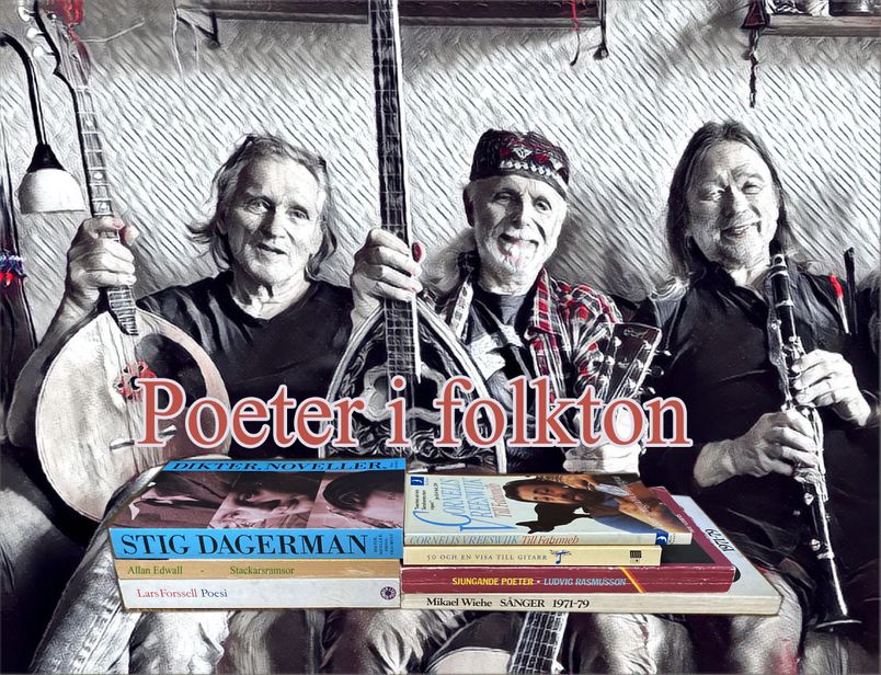 (Vis-)Poeter i folkton