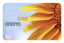 jeudecarte517
