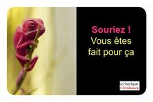 jeudecarte519