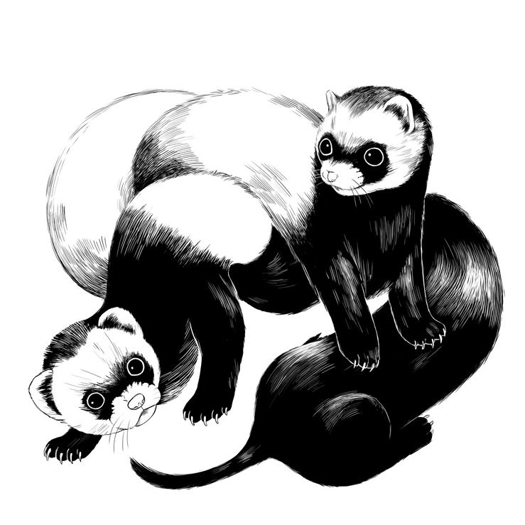 2021-10-05-inktober_knot_klein