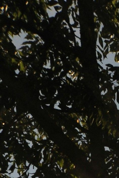 mehr Licht als Schatten Auflösung