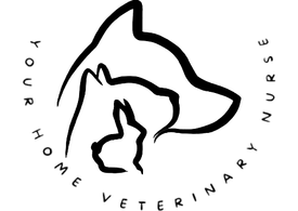Your Home Veterinary Nurse 