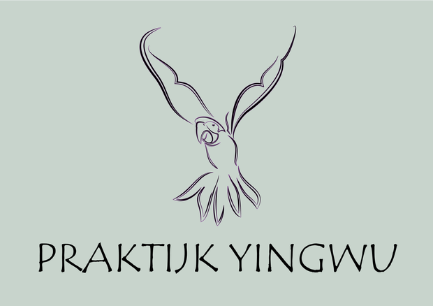 Praktijk Yingwu