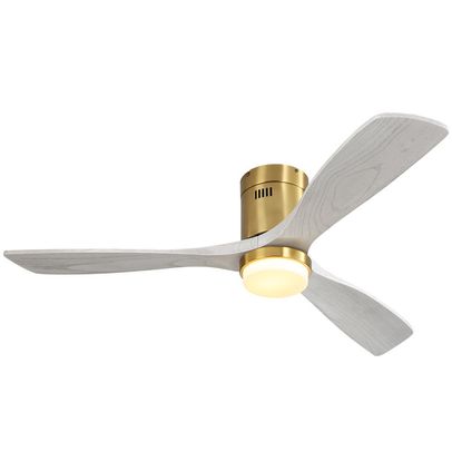 Ceiling Fan with LED Lights