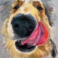 100x100 tongue