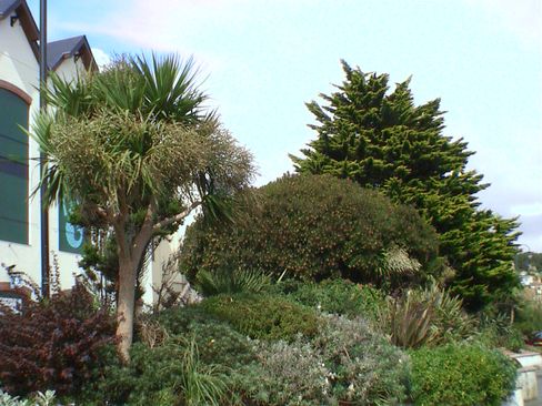 DVC00077
