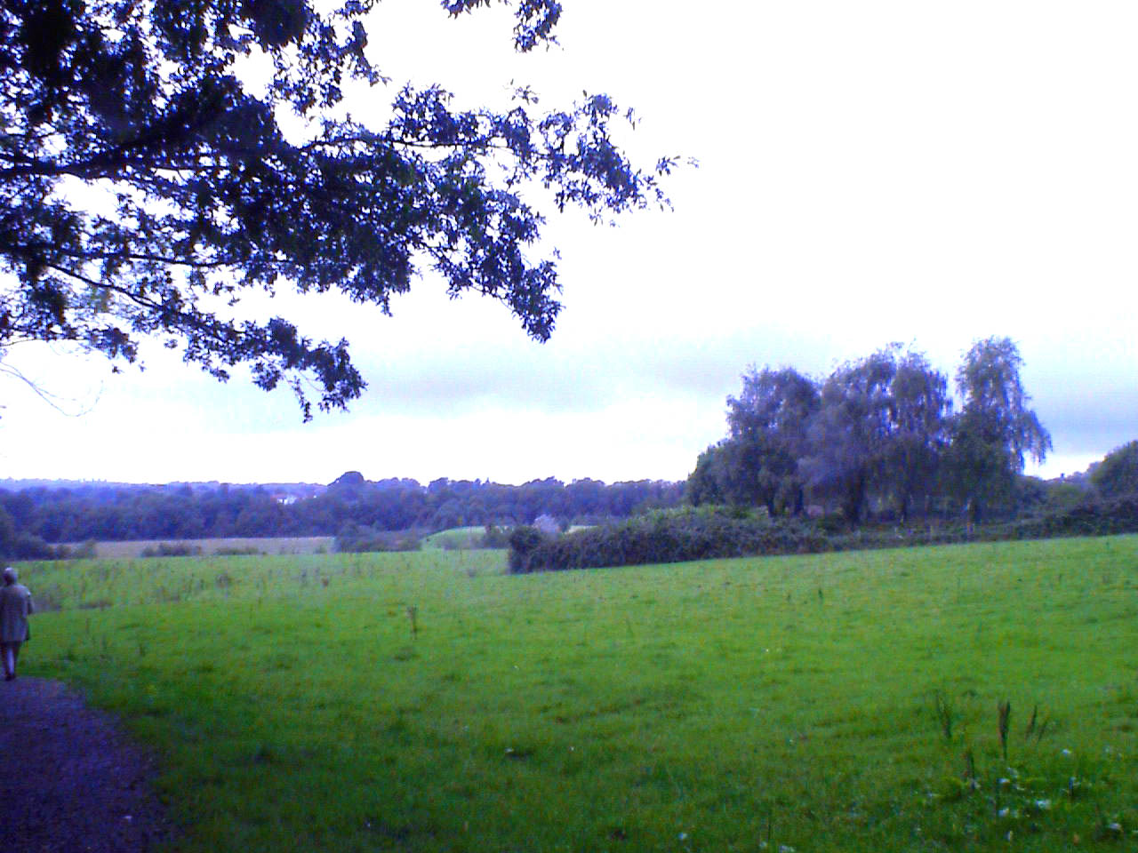 DVC00020