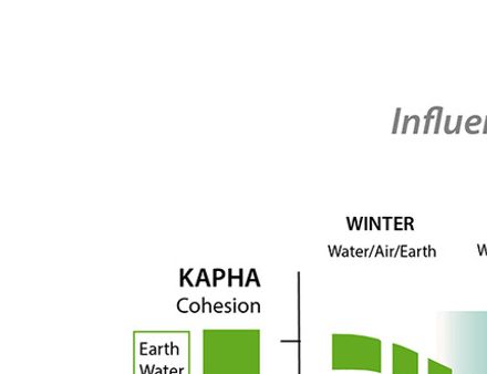 constitutions& the  seasons
