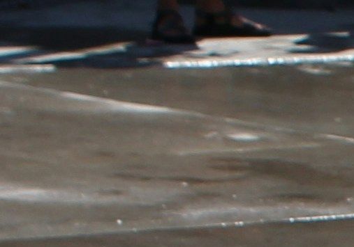Hond schudt water af bij zwembad
