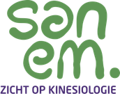 Sanem Zicht op Kinesiologie