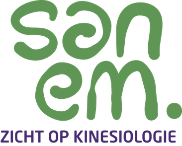 Sanem Zicht op Kinesiologie