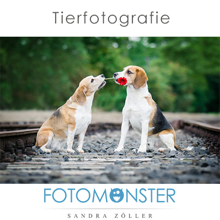 Tierfotografie