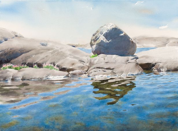 1564  Källkär  56 x 76 cm