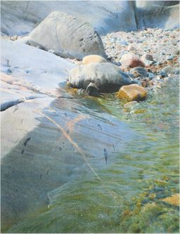 2004 Höga vågor  (59x45,5 cm)  4800 kr