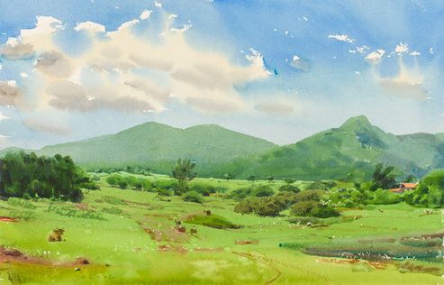 S - 15  Guadeloupe 2016  27 x 42 cm