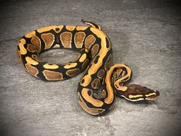 Naturform