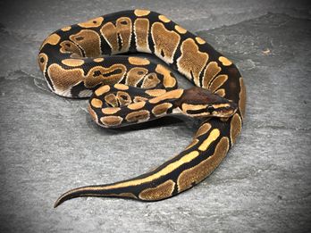 Naturform
