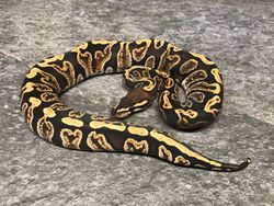 GHI
