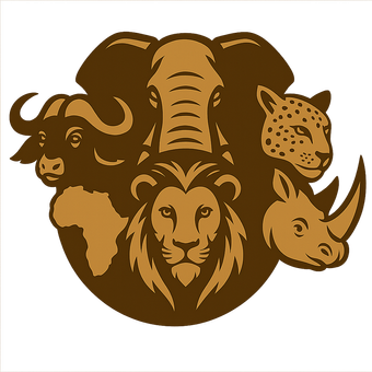Zuid-Afrika-Reizen.be