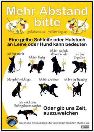 Gelber Hund - Abstand bitte