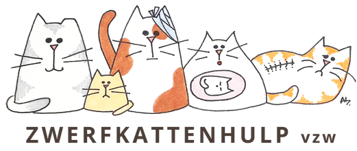 Zwerfkattenhulp