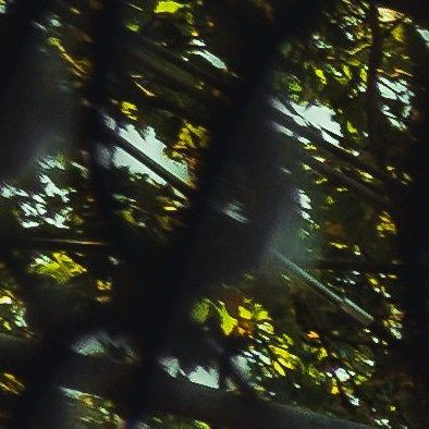 unsplash_-W2NIZ05WrM