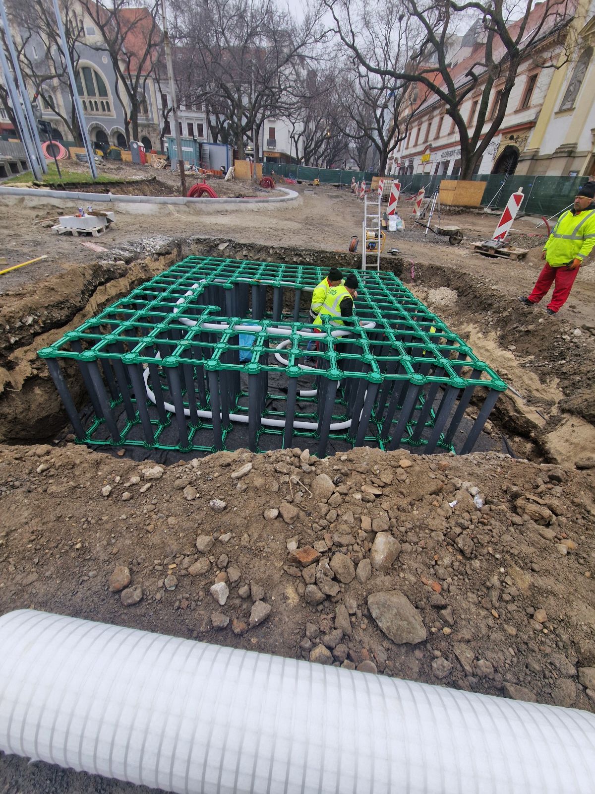 Prekorenitelna bunka HTW treeroot system.