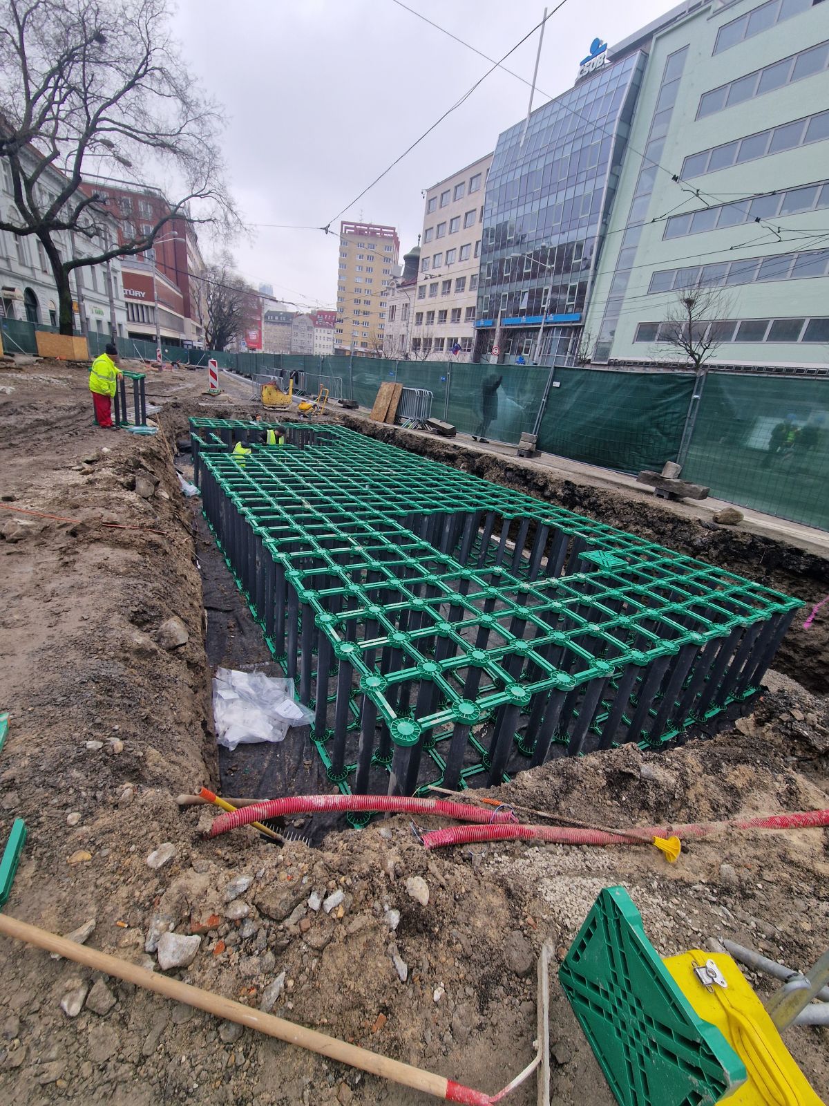 Prekorenitelna bunka HTW treeroot system.