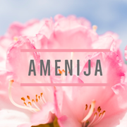 Amenija Hyvinvointi