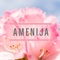 Amenija Hyvinvointi