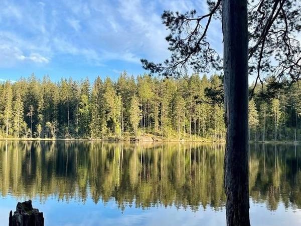 Lake view at Nuuksio National Park