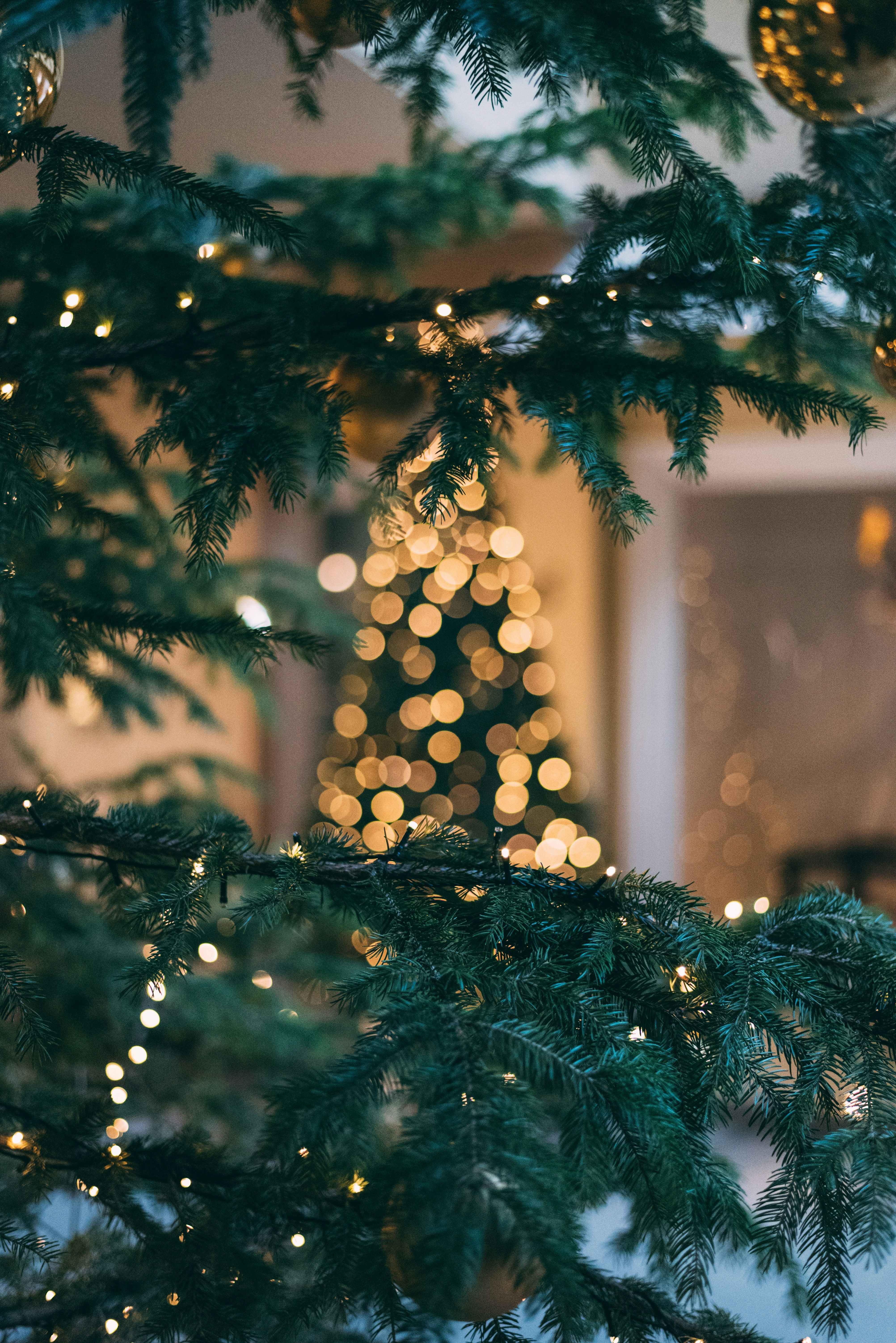 unsplash_ZXbeOqF1NFQ