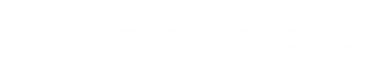 Lion Sight AI - Beyond Your Awareness