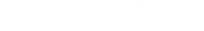 Lion Sight AI - Beyond Your Awareness