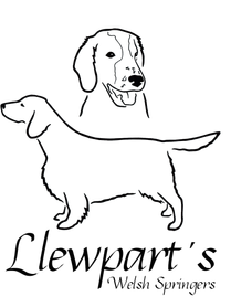 Llewpart's 