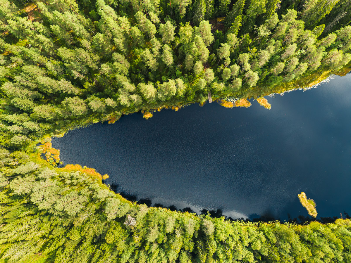 Järvimaisema Norojärven laavulta Kangasalassa